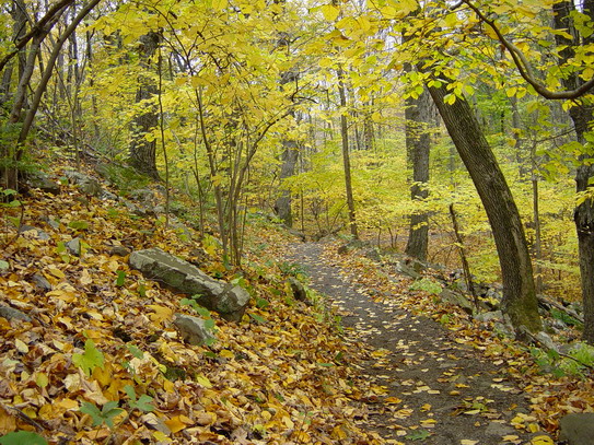 Dinosaur State Park