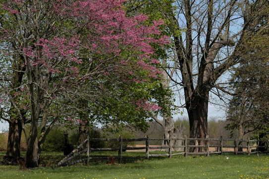 Illinois Country