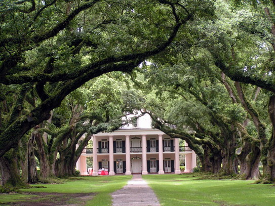 Plantation Alley