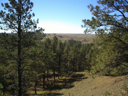 Nebraska