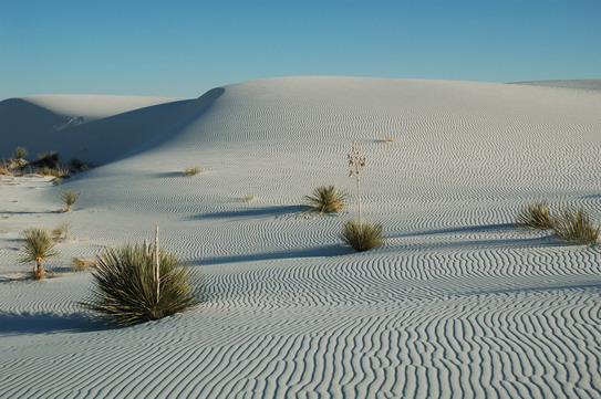 White Sands