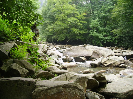 Great Smoky National Park