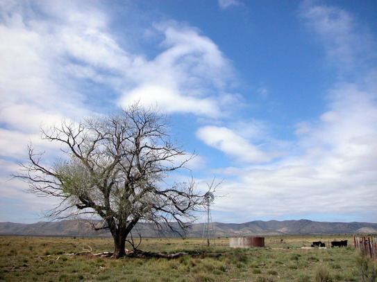 Big Bend National Park