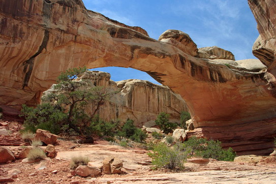 Capitol Reef